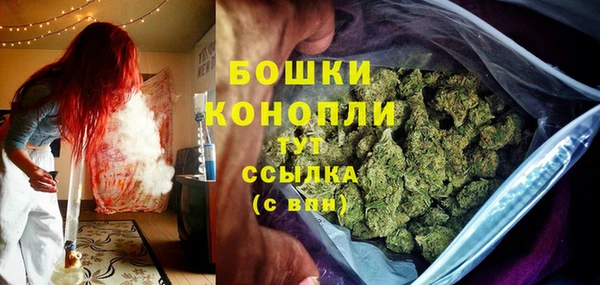 СК Медвежьегорск