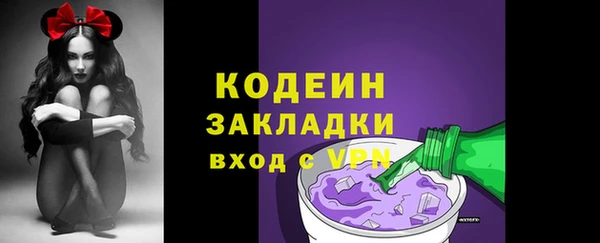 СК Медвежьегорск