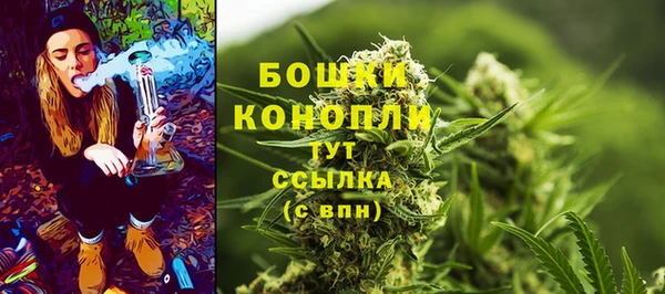СК Медвежьегорск