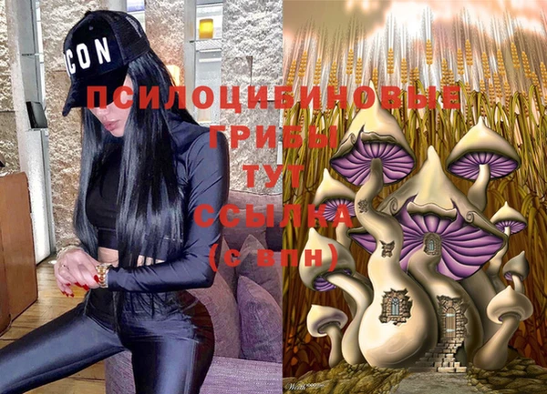a pvp Медногорск