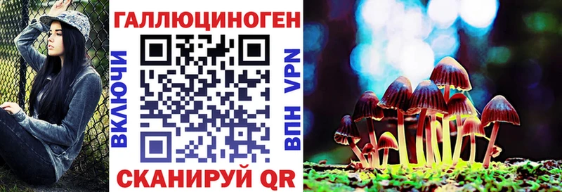 Купить закладки  Динская  Галлюциногенные грибы прущие грибы 