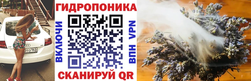 Конопля сатива  Купить  Динская 